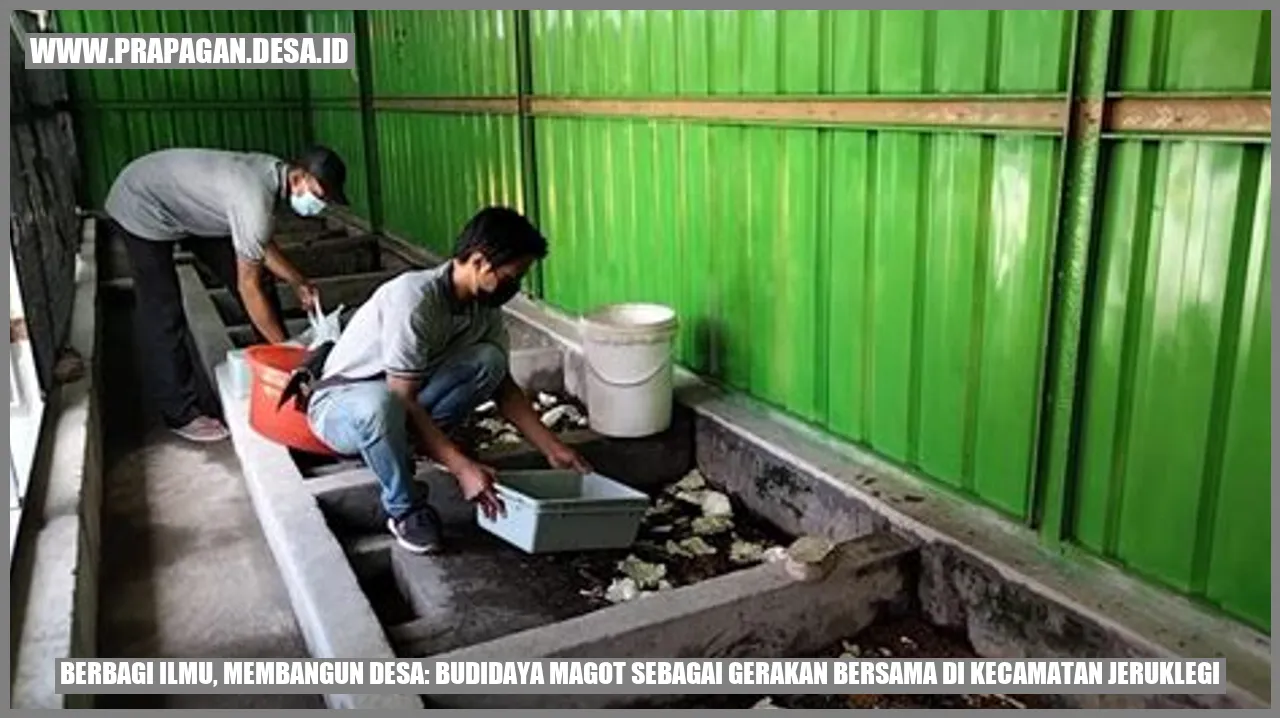 Budidaya Magot