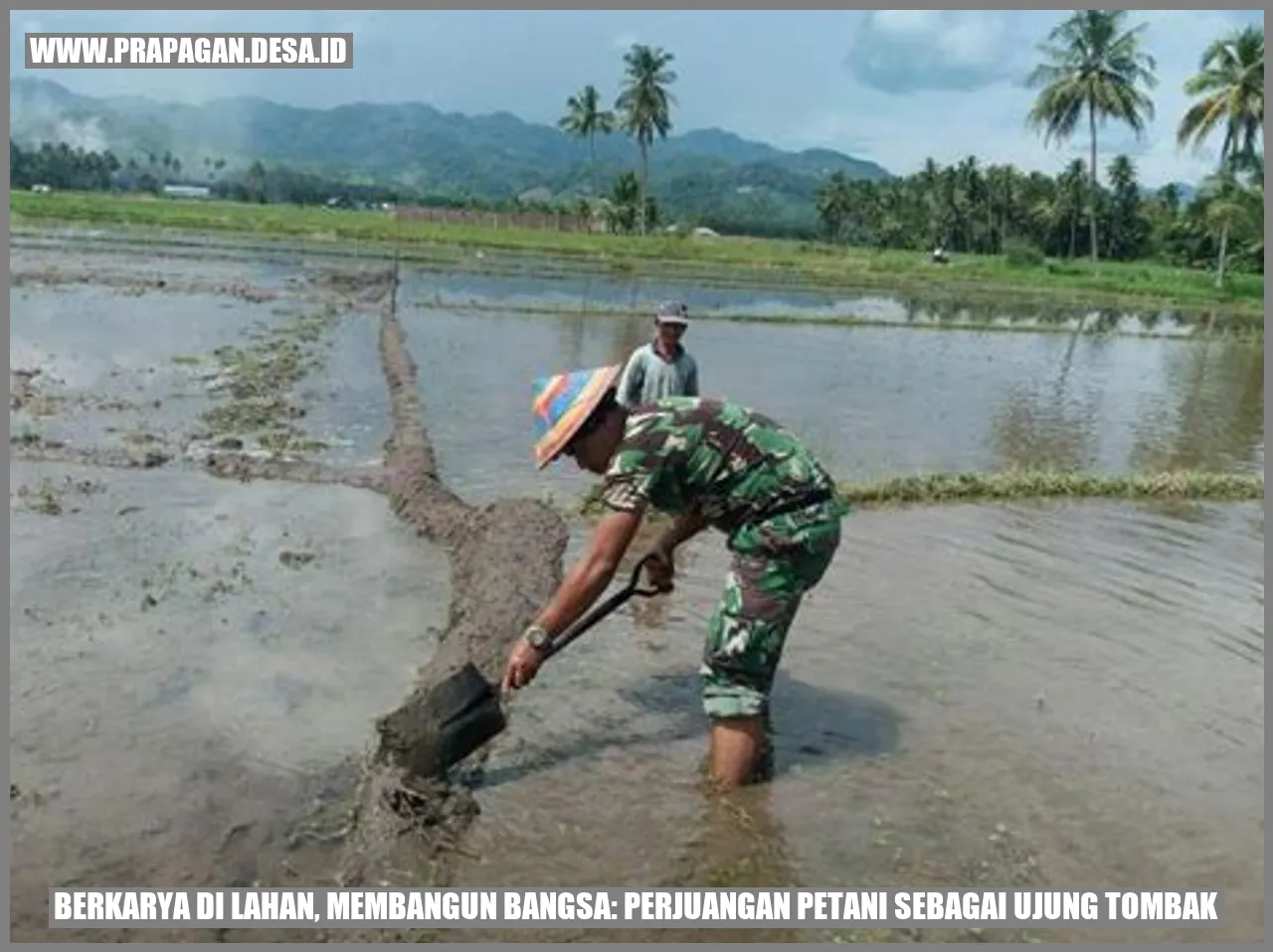Petani bekerja di sawah