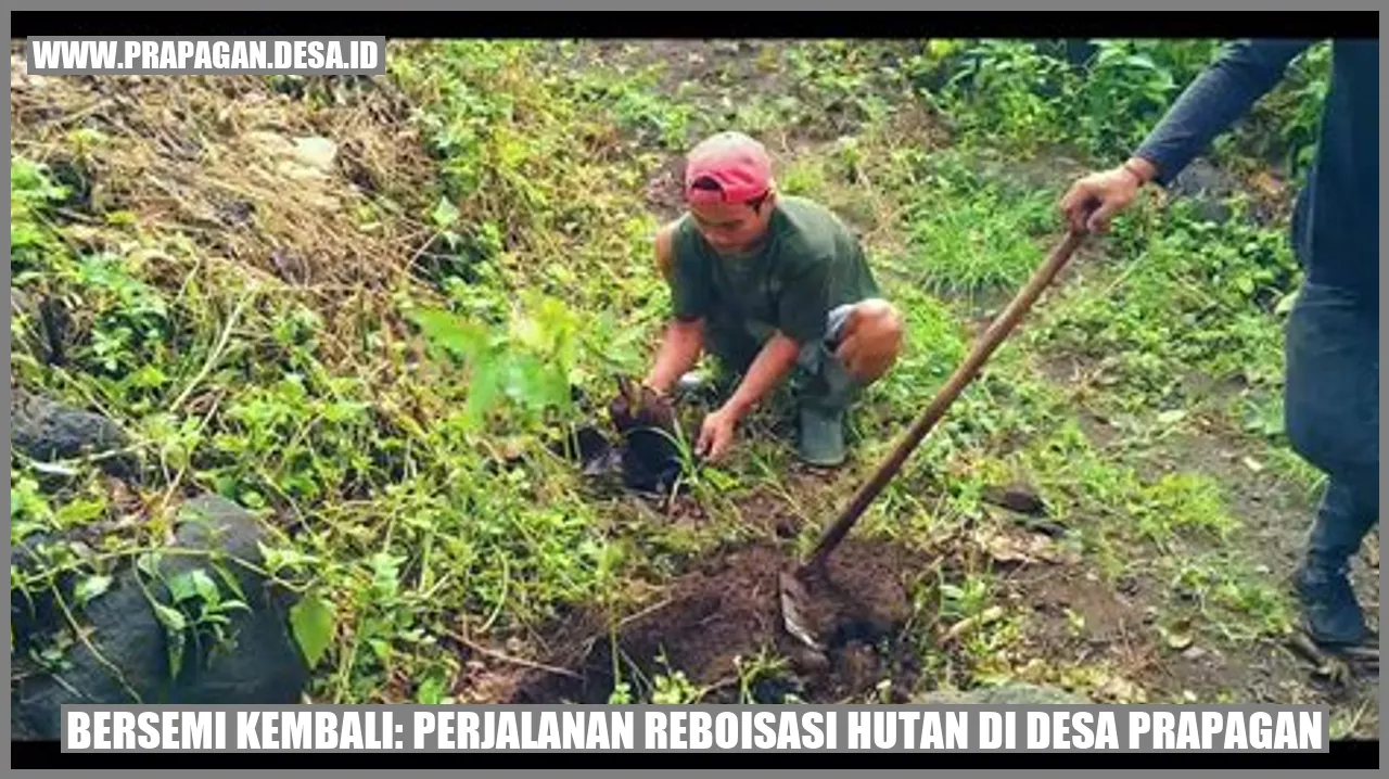 Reboisasi Hutan di Desa Prapagan