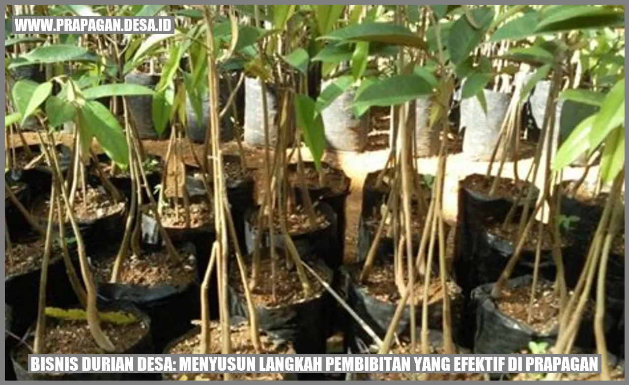 Bisnis Durian Desa: Menyusun Langkah Pembibitan yang Efektif di prapagan