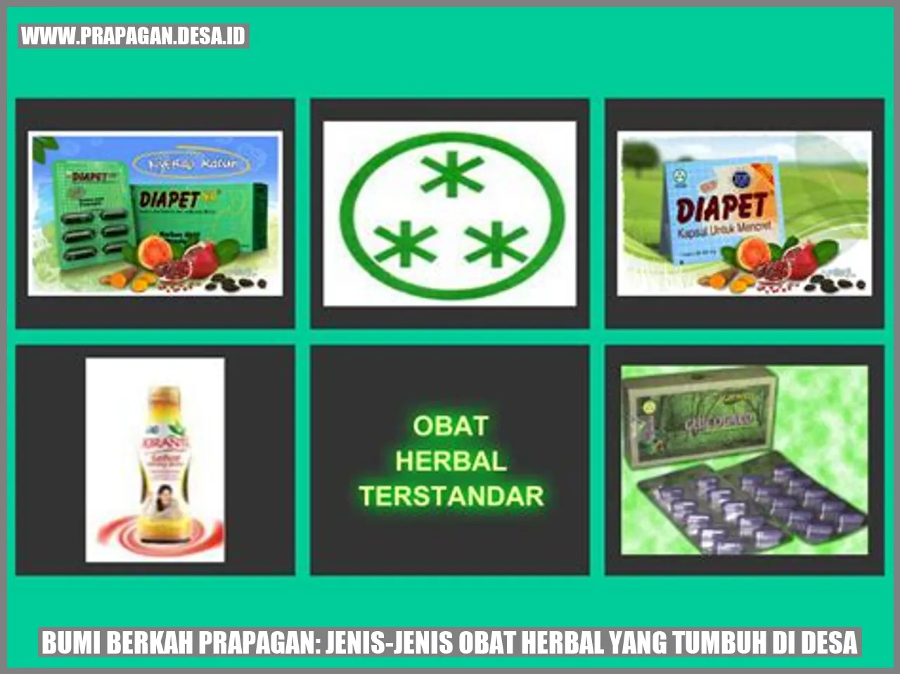 Obat Herbal di Desa Prapagan