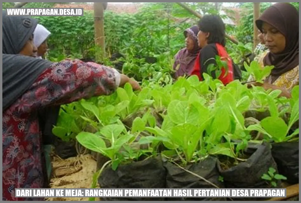 Dari Lahan ke Meja: Rangkaian Pemanfaatan Hasil Pertanian Desa prapagan