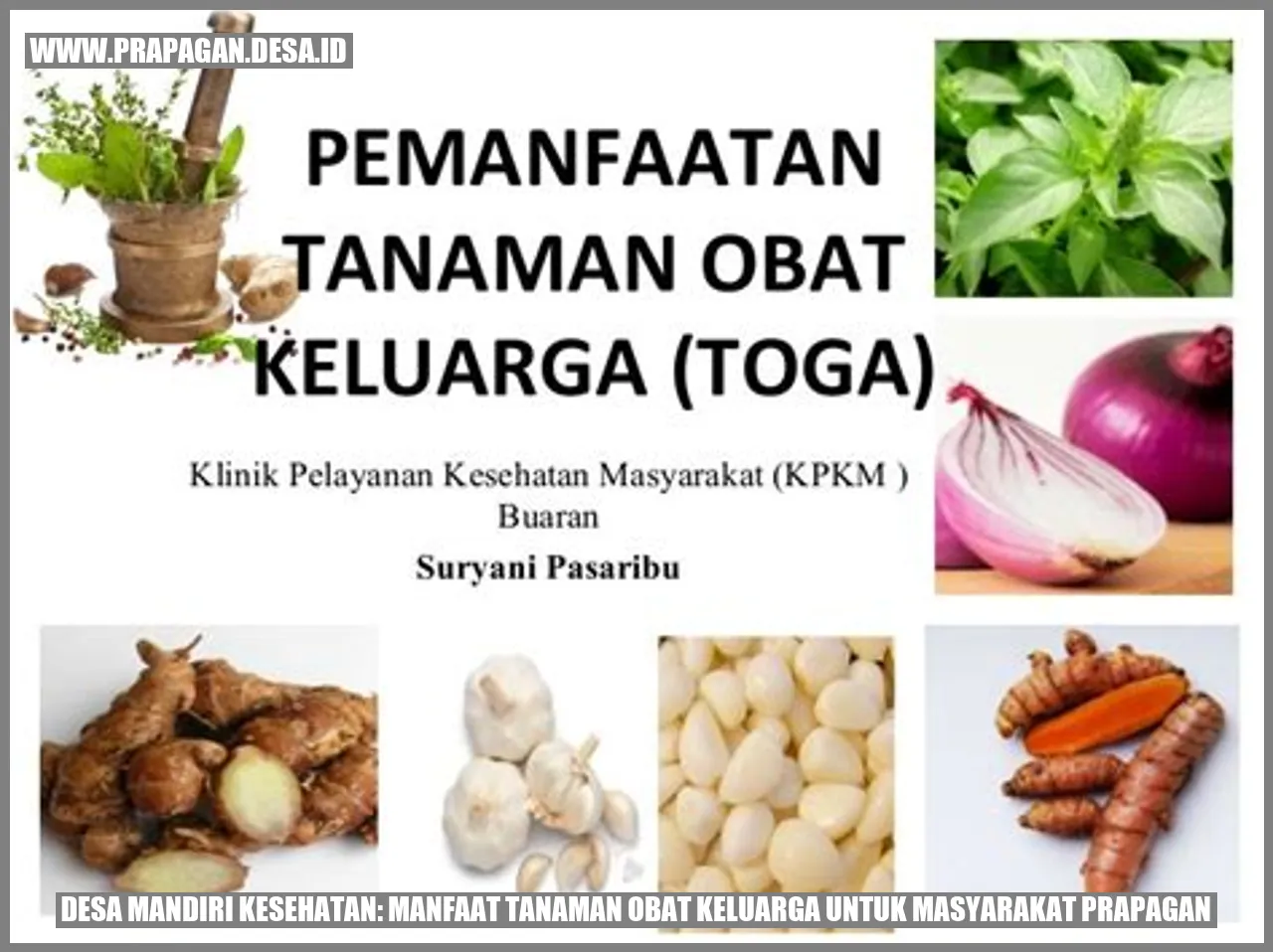 Tanaman Obat Keluarga