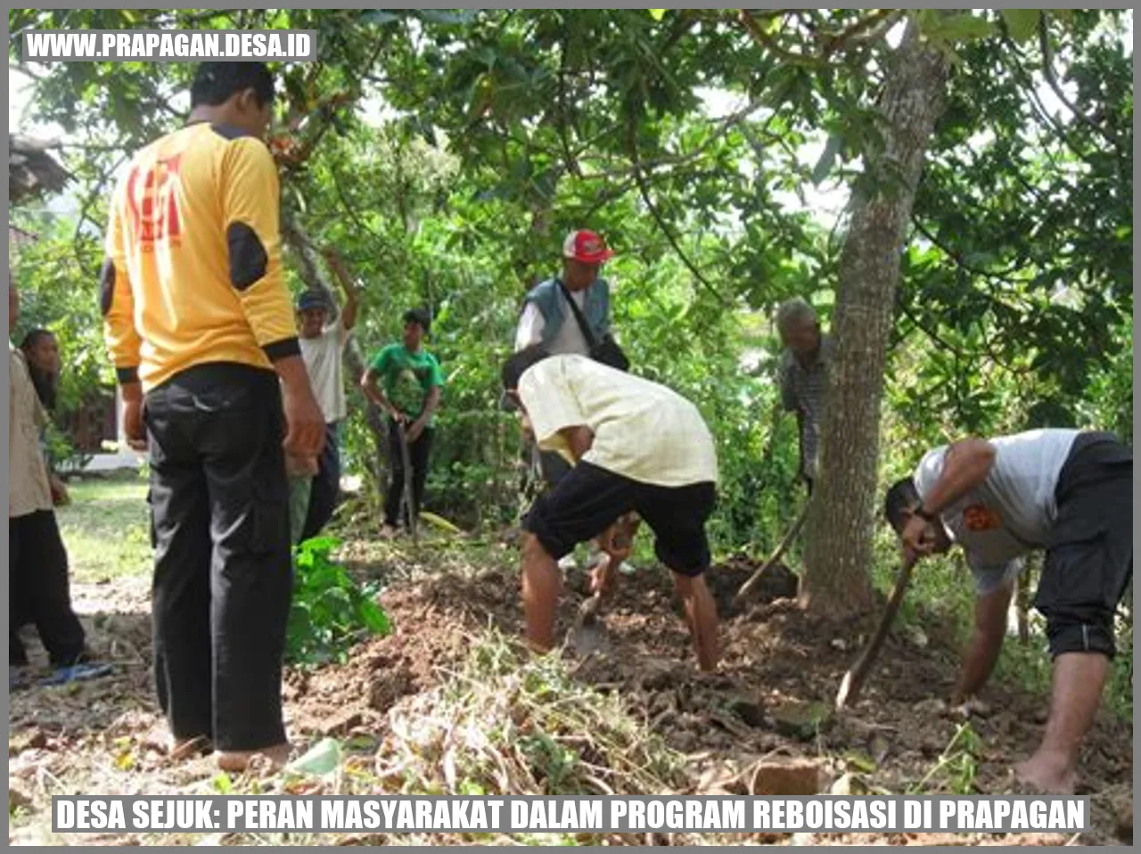 Desa Sejuk: Peran Masyarakat dalam Program Reboisasi di Prapagan