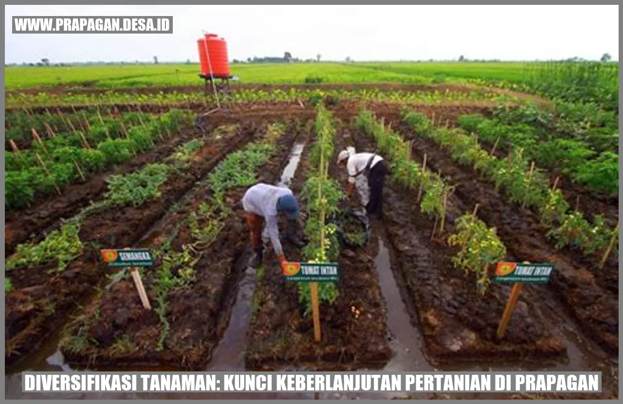Diversifikasi Tanaman: Kunci Keberlanjutan Pertanian di prapagan