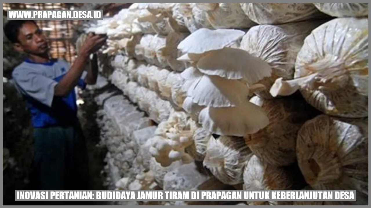 Jamur Tiram