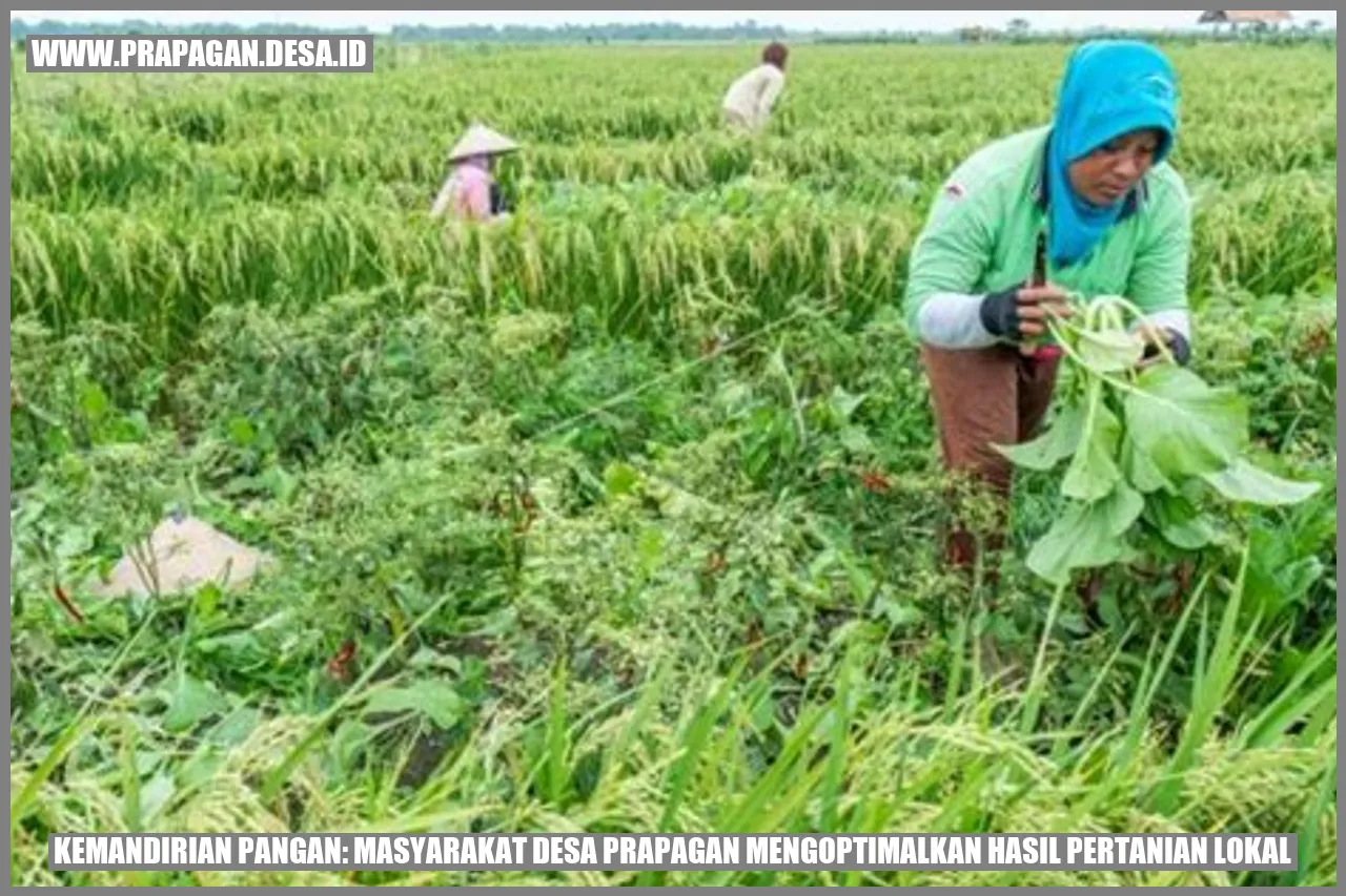 Kemandirian Pangan: Masyarakat Desa prapagan Mengoptimalkan Hasil Pertanian Lokal