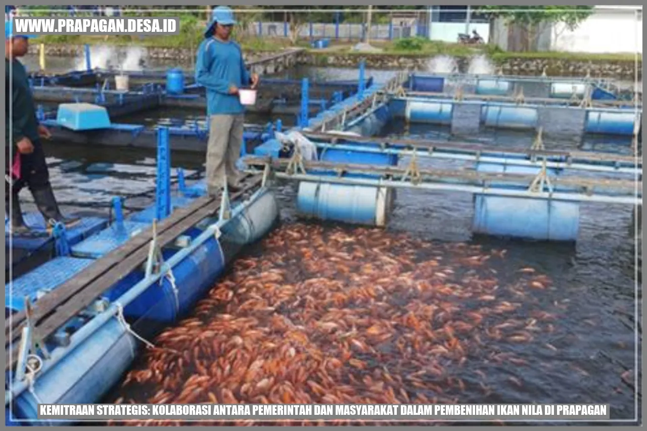 Pembenihan Ikan Nila di Prapagan
