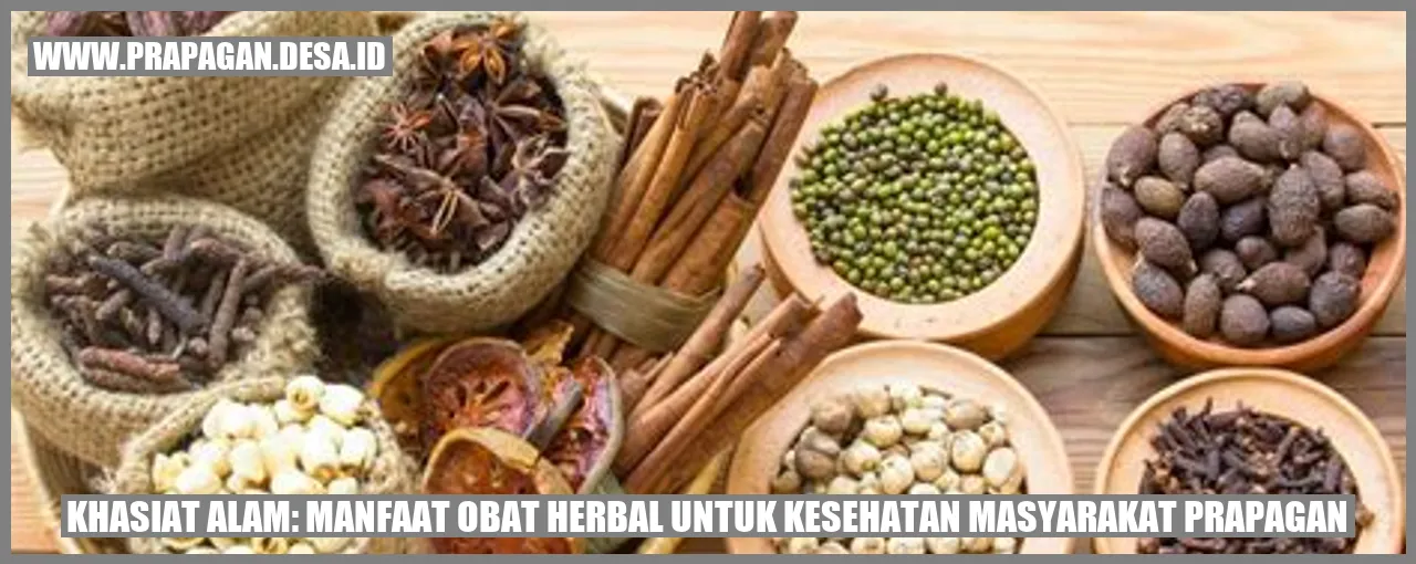 Khasiat Alam: Manfaat Obat Herbal untuk Kesehatan Masyarakat Prapagan