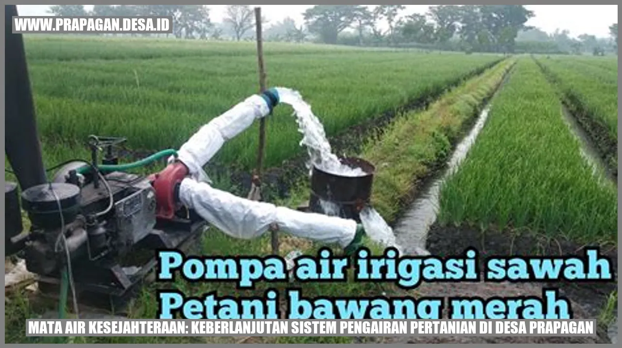 Mata Air Kesejahteraan: Keberlanjutan Sistem Pengairan Pertanian di Desa Prapagan