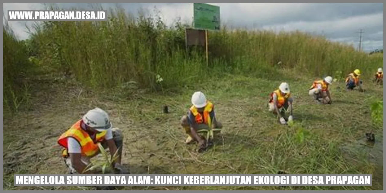 Sumber Daya Alam Desa Prapagan
