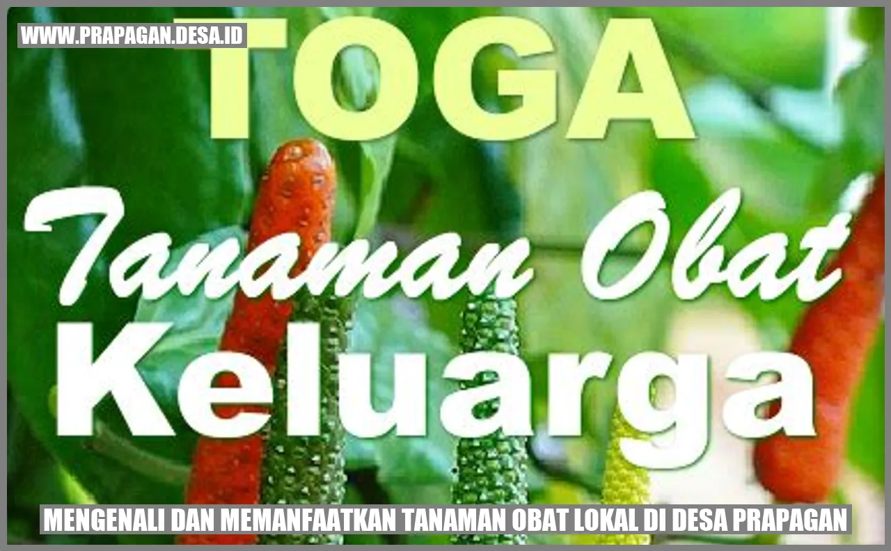Tanaman Obat Lokal di Desa Prapagan