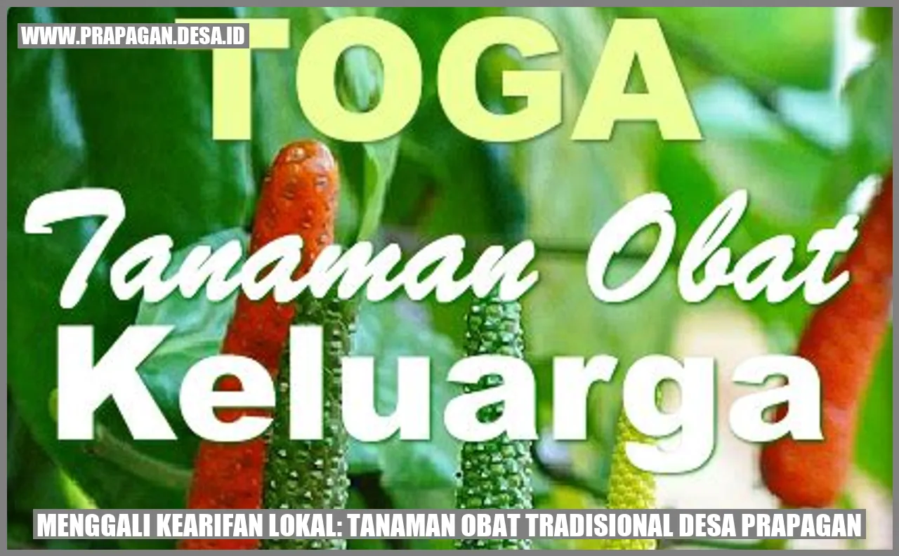 Tanaman Obat Tradisional Desa Prapagan