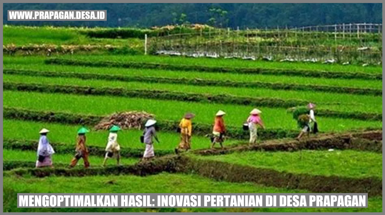 Inovasi Pertanian di Desa Prapagan