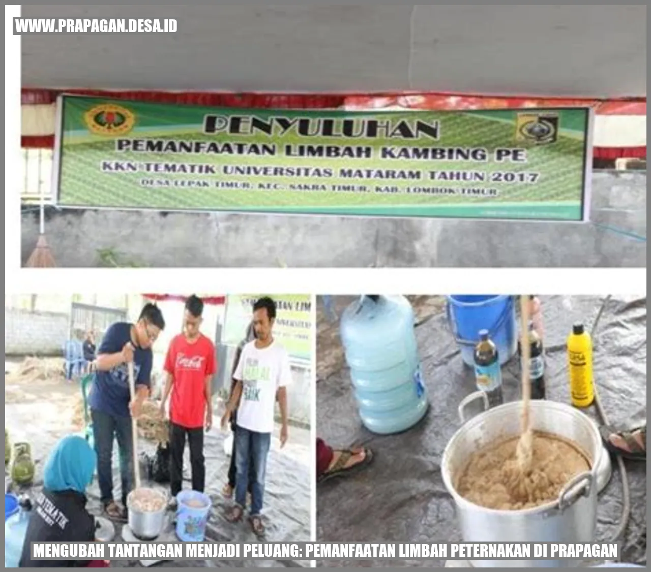 gambar peternakan
