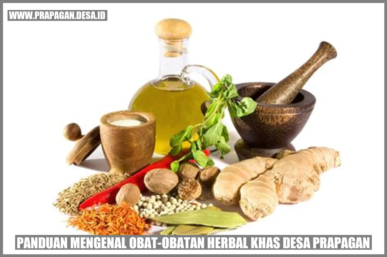 Obat-obatan herbal khas Desa Prapagan