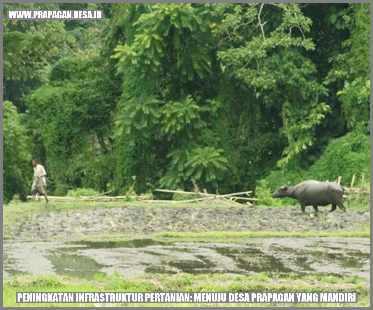 Peningkatan Infrastruktur Pertanian Desa prapagan