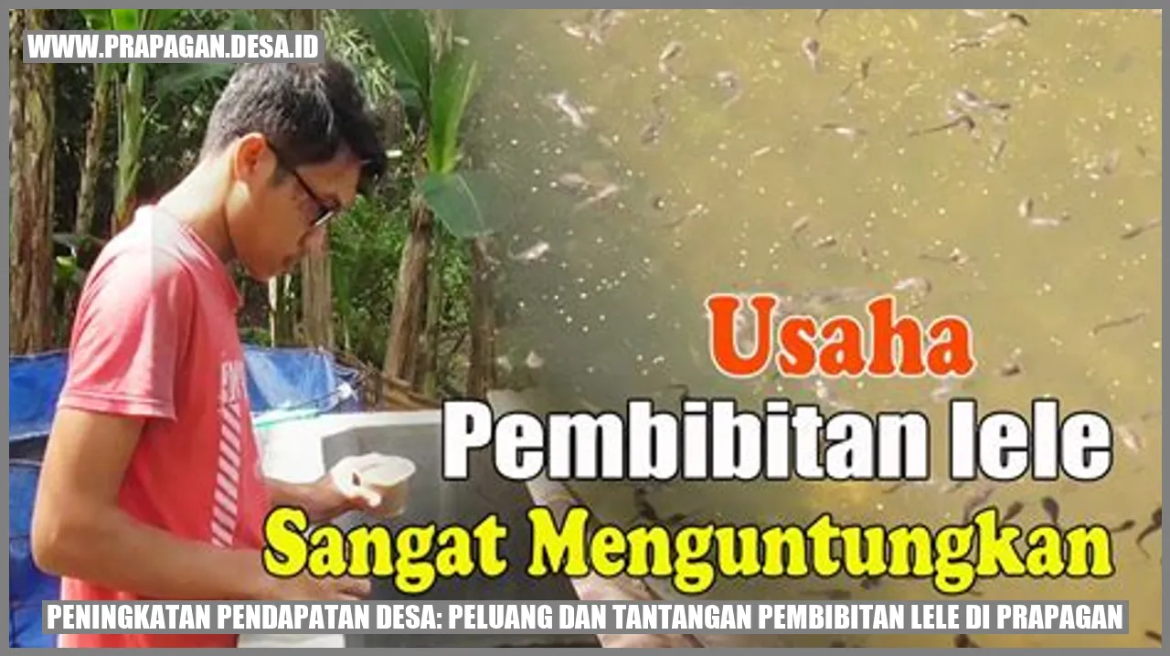 Peningkatan Pendapatan Desa: Peluang dan Tantangan Pembibitan Lele di Prapagan