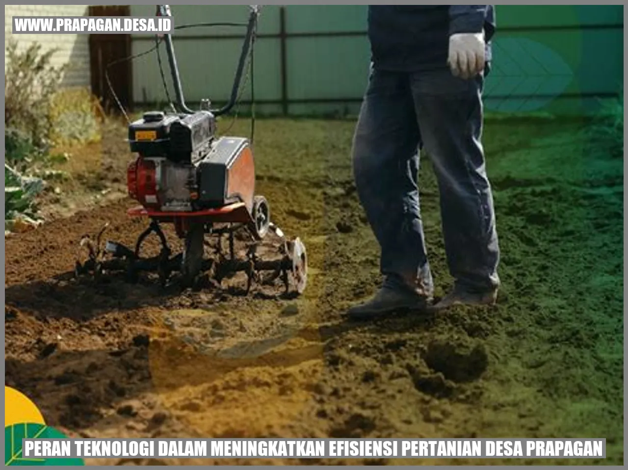Peran Teknologi dalam Meningkatkan Efisiensi Pertanian Desa Prapagan