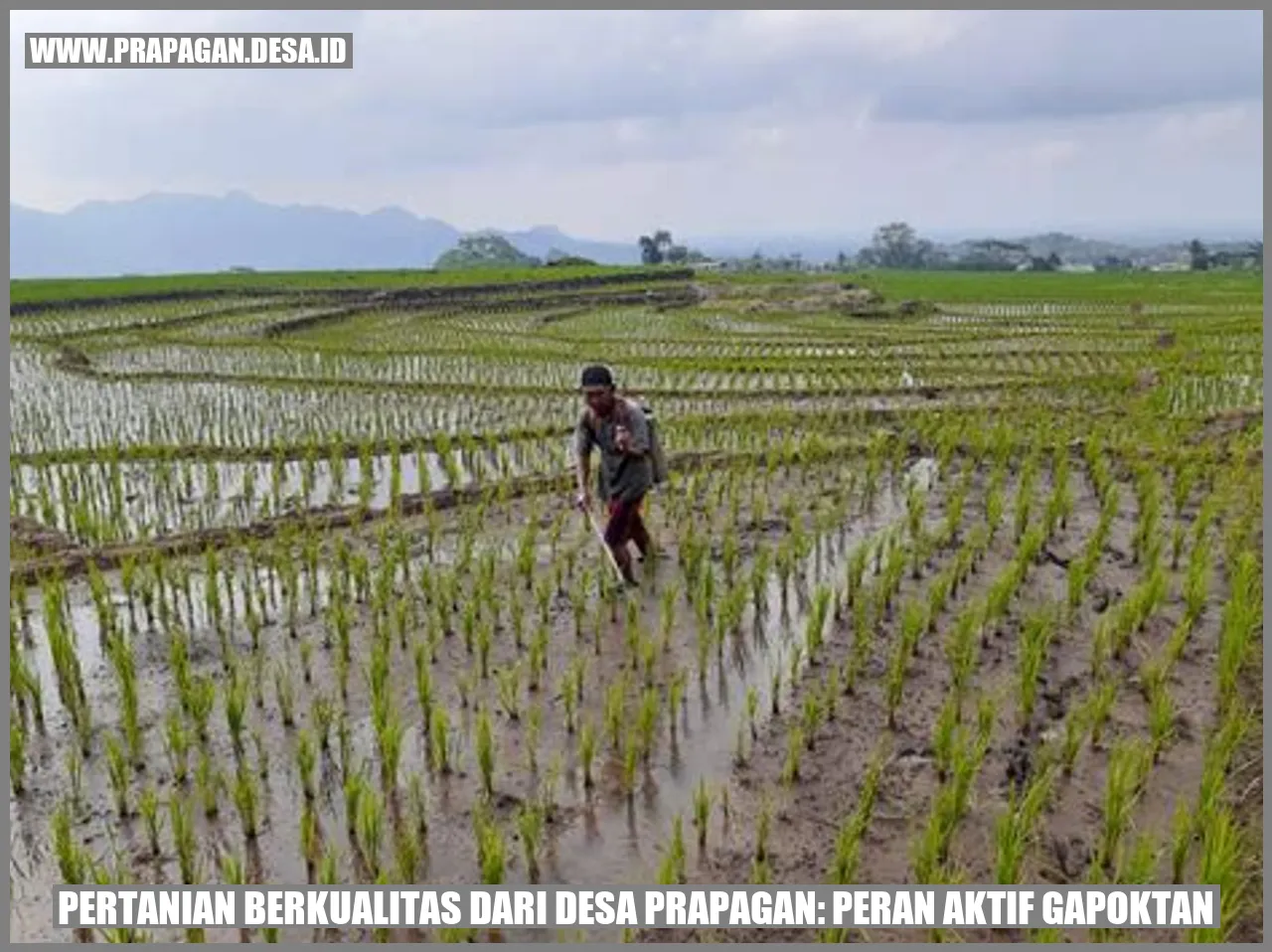 Desa Prapagan